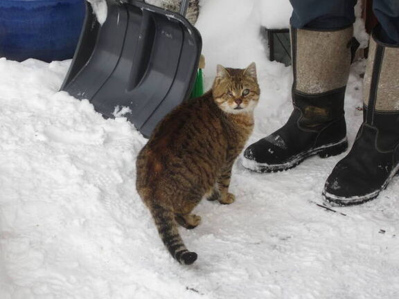 Unsere Tiere